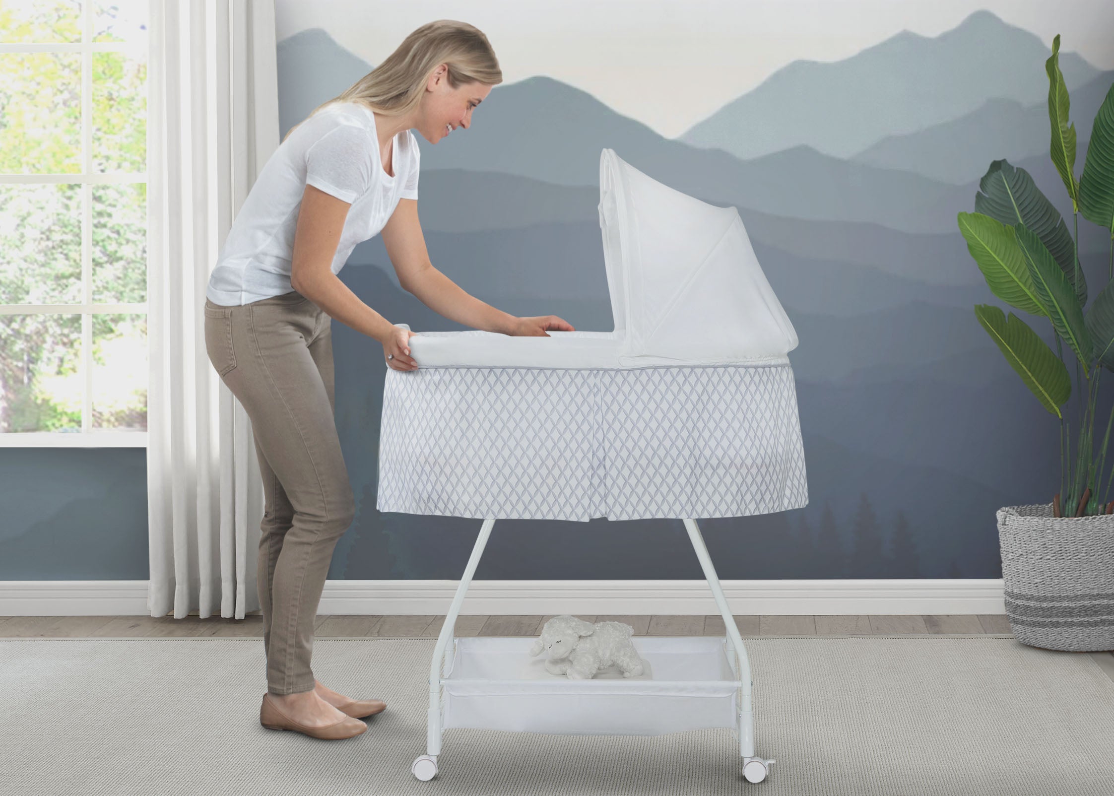 Deluxe bassinet online