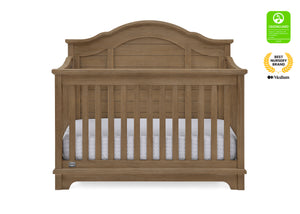 Delta Children Asher 6 in 1 Convertible Crib Rustic Mist