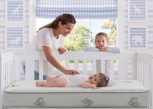 Safety 1st Transitions Crib & Toddler Bed Mattress & Reviews